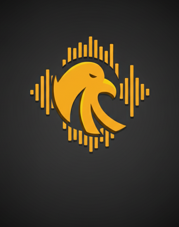 Falcon Eye Music VST Development